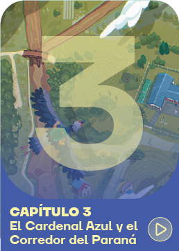 Capítulo 3