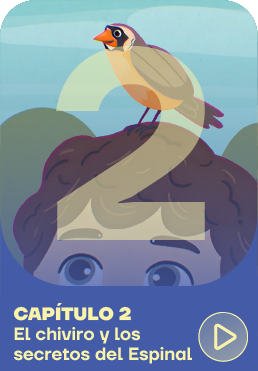 Capítulo 2